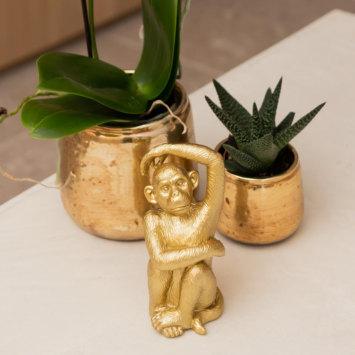 Kolibri-Startseite | Ornament - Dekorationsbild Sitzender Affe - Gold