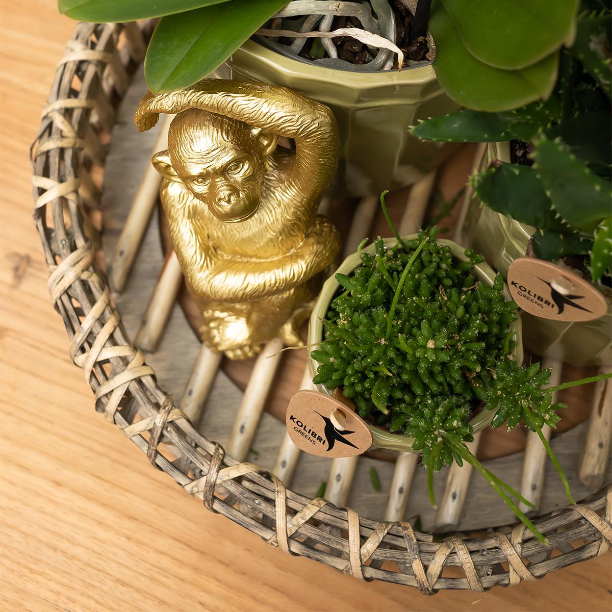Kolibri-Startseite | Ornament - Dekorationsbild Sitzender Affe - Gold