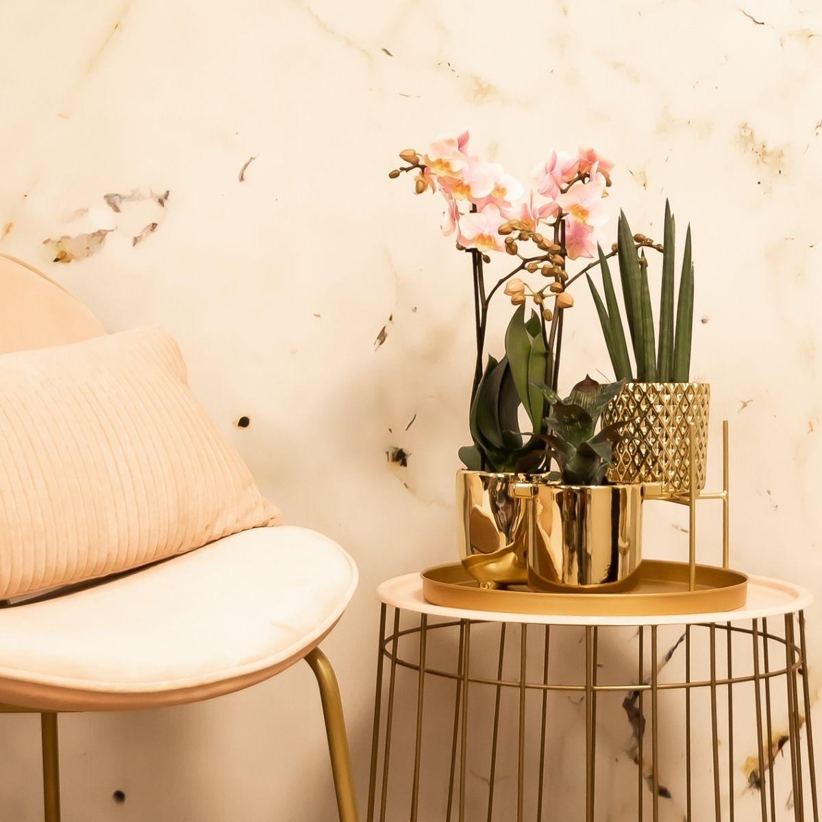 Kolibri-Startseite | Plantenstandaard - Goldmetallischer Plantenverhoging Ø12cm