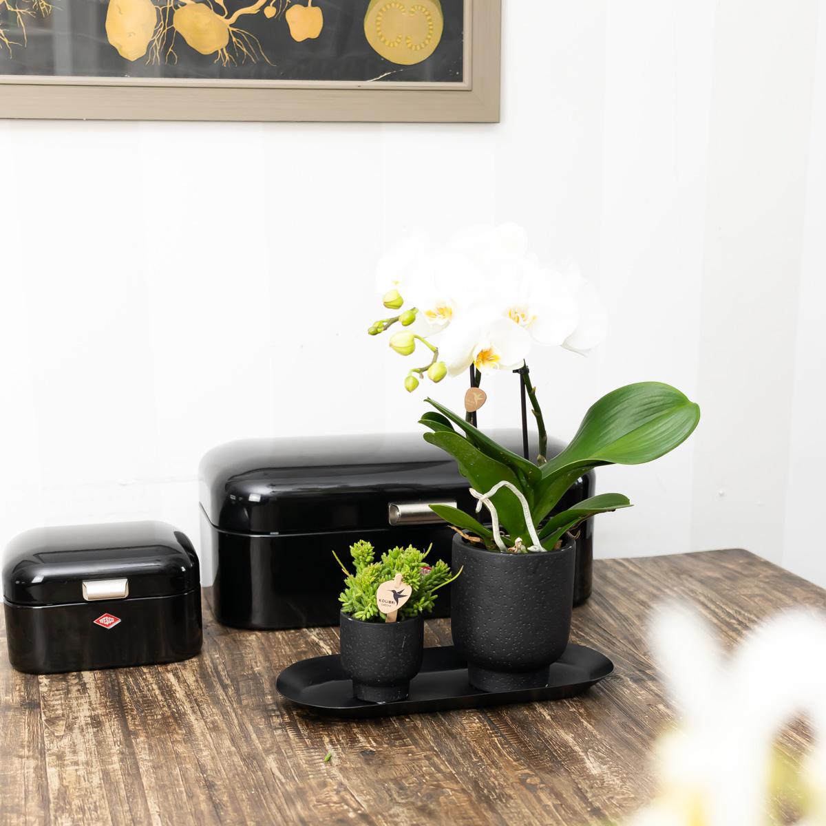 Kolibri-Startseite | Teller oval - Ovale dienblad Ø30cm - Schwarz