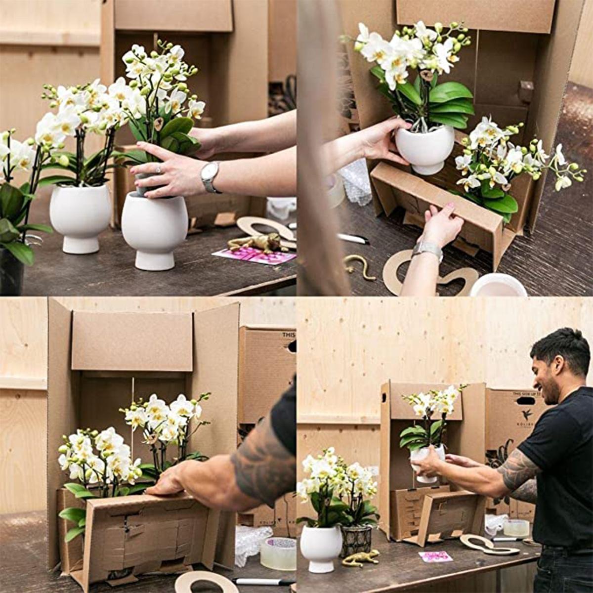 Kolibri-Startseite | Plantenstandaard - Houten planten verhoging Ø12cm